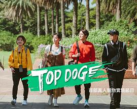 杏吧性世界《TOP DOG》免费在线观看