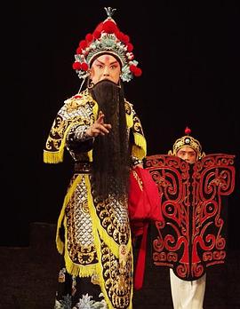 杏吧社区《袁崇焕2009》免费在线观看