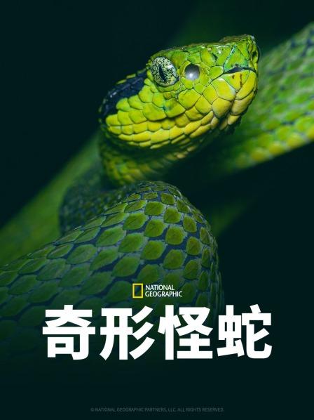 杏吧社区《奇形怪蛇》免费在线观看